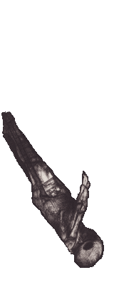 gravure de Dado